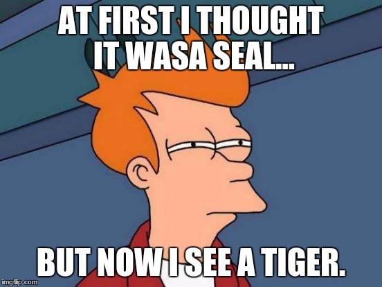 Futurama Fry Meme | AT FIRST I THOUGHT IT WASA SEAL... BUT NOW I SEE A TIGER. | image tagged in memes,futurama fry | made w/ Imgflip meme maker