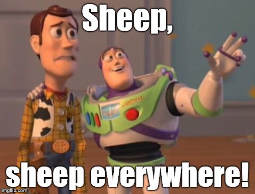 X, X Everywhere Meme | Sheep, sheep everywhere! | image tagged in memes,x x everywhere | made w/ Imgflip meme maker