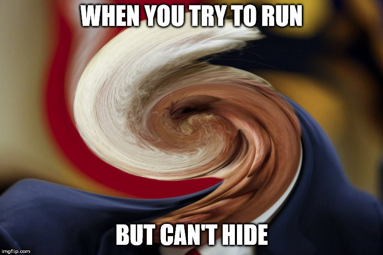 WHEN YOU TRY TO RUN; BUT CAN'T HIDE | image tagged in trump | made w/ Imgflip meme maker