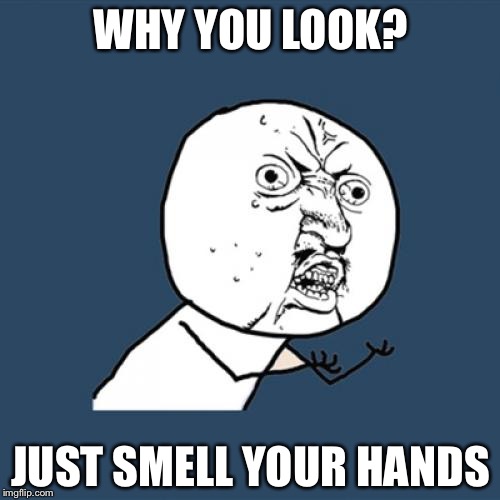 Y U No Meme | WHY YOU LOOK? JUST SMELL YOUR HANDS | image tagged in memes,y u no | made w/ Imgflip meme maker