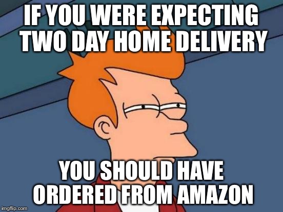 Futurama Fry Meme | IF YOU WERE EXPECTING TWO DAY HOME DELIVERY YOU SHOULD HAVE ORDERED FROM AMAZON | image tagged in memes,futurama fry | made w/ Imgflip meme maker
