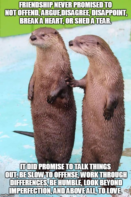 Otter Friends | FRIENDSHIP NEVER PROMISED TO NOT OFFEND, ARGUE,DISAGREE, DISAPPOINT, BREAK A HEART, OR SHED A TEAR. IT DID PROMISE TO TALK THINGS OUT, BE SLOW TO OFFENSE, WORK THROUGH DIFFERENCES, BE HUMBLE, LOOK BEYOND IMPERFECTION, AND ABOVE ALL, TO LOVE. | image tagged in otter friends | made w/ Imgflip meme maker