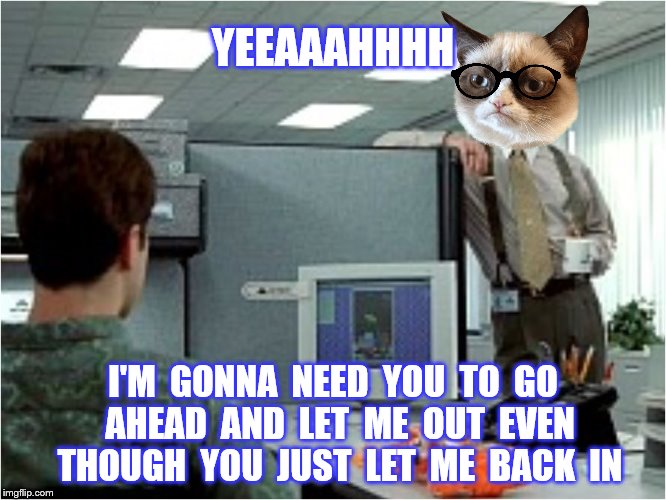 Office Space | YEEAAAHHHH; I'M  GONNA  NEED  YOU  TO  GO  AHEAD  AND  LET  ME  OUT  EVEN  THOUGH  YOU  JUST  LET  ME  BACK  IN | image tagged in memes,grumpy cat,office space | made w/ Imgflip meme maker