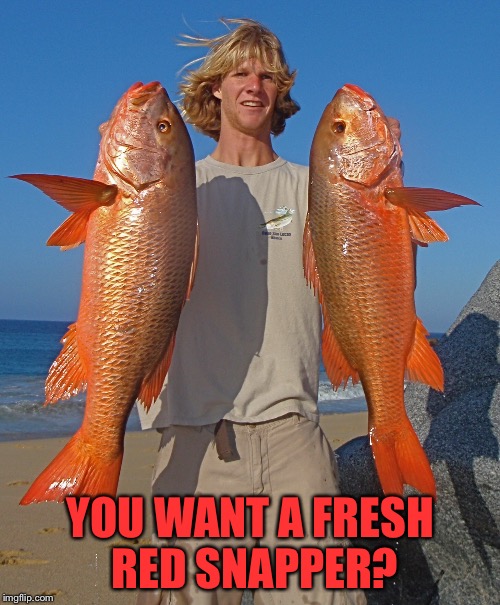 YOU WANT A FRESH RED SNAPPER? | made w/ Imgflip meme maker