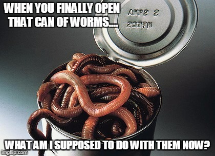 Oh great!
You just had to go and open it, didn't you!?!?! | WHEN YOU FINALLY OPEN THAT CAN OF WORMS.... WHAT AM I SUPPOSED TO DO WITH THEM NOW? | image tagged in can of worms | made w/ Imgflip meme maker