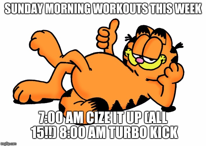 Garfield | SUNDAY MORNING WORKOUTS THIS WEEK; 7:00 AM CIZE IT UP (ALL 15!!)
8:00 AM TURBO KICK | image tagged in garfield | made w/ Imgflip meme maker