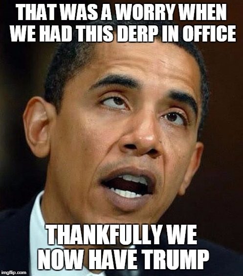 partisanship | THAT WAS A WORRY WHEN WE HAD THIS DERP IN OFFICE THANKFULLY WE NOW HAVE TRUMP | image tagged in partisanship | made w/ Imgflip meme maker