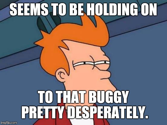 Futurama Fry Meme | SEEMS TO BE HOLDING ON TO THAT BUGGY PRETTY DESPERATELY. | image tagged in memes,futurama fry | made w/ Imgflip meme maker