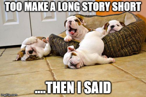 Long Story Short | TOO MAKE A LONG STORY SHORT; ....THEN I SAID | image tagged in funny dog memes | made w/ Imgflip meme maker