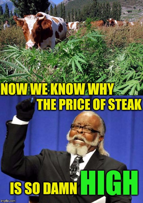 A Tasty Mystery Solved!! ✌✌✌ (Yo◡oY) | NOW WE KNOW WHY; THE PRICE OF STEAK; HIGH; IS SO DAMN | image tagged in memes,funny,cows,steak,weed,puns | made w/ Imgflip meme maker