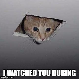 Ceiling Cat | I WATCHED YOU DURING | image tagged in memes,ceiling cat | made w/ Imgflip meme maker