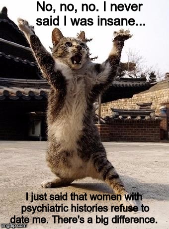 kung fu kitten | No, no, no. I never said I was insane... I just said that women with psychiatric histories refuse to date me. There's a big difference. | image tagged in kung fu kitten | made w/ Imgflip meme maker