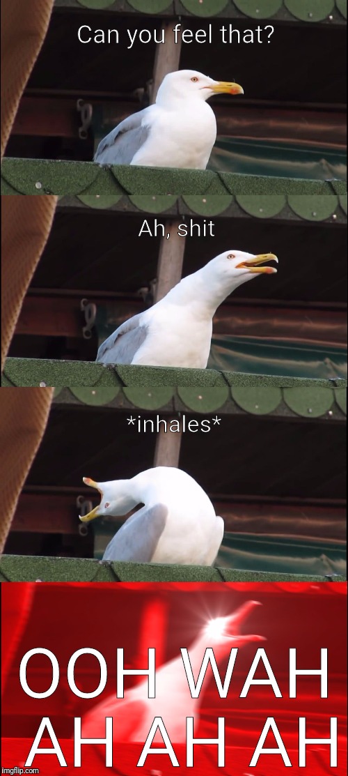 Inhaling Seagull | Can you feel that? Ah, shit; *inhales*; OOH WAH AH AH AH | image tagged in inhaling seagull | made w/ Imgflip meme maker