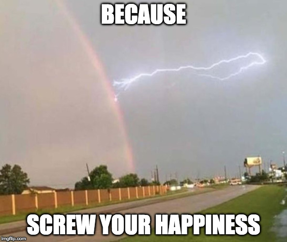 :I | BECAUSE; SCREW YOUR HAPPINESS | image tagged in rainbow lighting,happiness,grumpy cat | made w/ Imgflip meme maker
