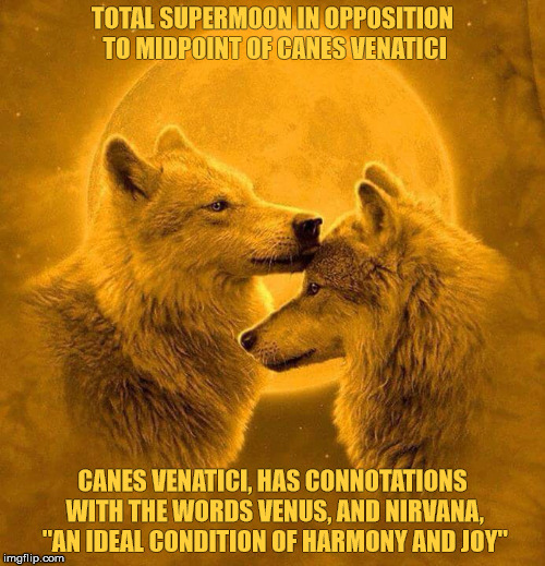 Golden Wolves | TOTAL SUPERMOON IN OPPOSITION TO MIDPOINT OF CANES VENATICI; CANES VENATICI, HAS CONNOTATIONS WITH THE WORDS VENUS, AND NIRVANA, "AN IDEAL CONDITION OF HARMONY AND JOY" | image tagged in astrology,the golden rule,golden wolves,moon,harmony,joy | made w/ Imgflip meme maker