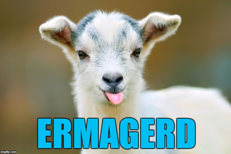 ERMAGERD | made w/ Imgflip meme maker