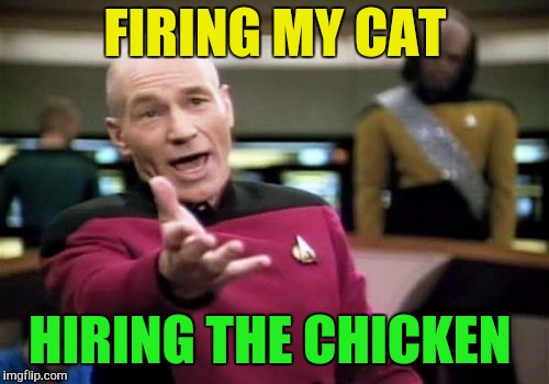 Picard Wtf Meme | FIRING MY CAT HIRING THE CHICKEN | image tagged in memes,picard wtf | made w/ Imgflip meme maker