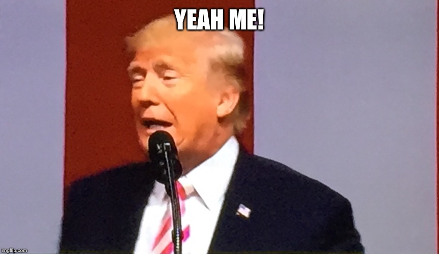 Trump days | YEAH ME! | image tagged in trump days | made w/ Imgflip meme maker