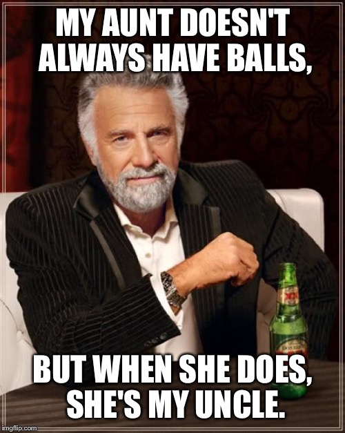 Really | MY AUNT DOESN'T ALWAYS HAVE BALLS, BUT WHEN SHE DOES, SHE'S MY UNCLE. | image tagged in memes,the most interesting man in the world,funny,humor,memeland,fantasyland | made w/ Imgflip meme maker