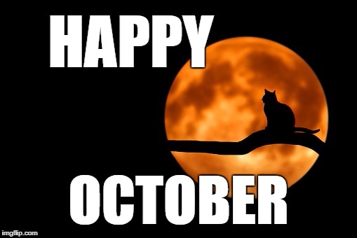 happy october | HAPPY; OCTOBER | image tagged in black cat,moon,october,happy halloween | made w/ Imgflip meme maker