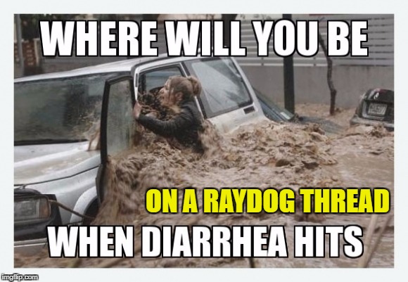 RAYDOG SHIT | ON A RAYDOG THREAD | image tagged in raydog shit | made w/ Imgflip meme maker