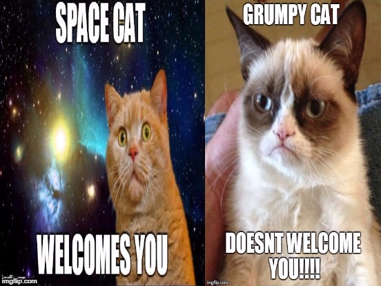 image tagged in the welcome cats | made w/ Imgflip meme maker