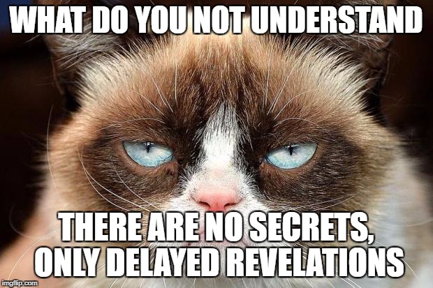 Grumpy Cat Not Amused Meme | WHAT DO YOU NOT UNDERSTAND; THERE ARE NO SECRETS, ONLY DELAYED REVELATIONS | image tagged in memes,grumpy cat not amused,grumpy cat | made w/ Imgflip meme maker