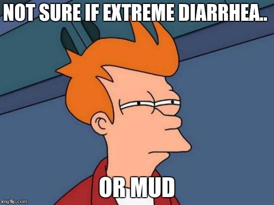 Futurama Fry Meme | NOT SURE IF EXTREME DIARRHEA.. OR MUD | image tagged in memes,futurama fry | made w/ Imgflip meme maker