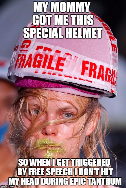 Hillary Supporter | MY MOMMY GOT ME THIS SPECIAL HELMET; SO WHEN I GET TRIGGERED BY FREE SPEECH I DON'T HIT MY HEAD DURING EPIC TANTRUM | image tagged in hillary supporter | made w/ Imgflip meme maker