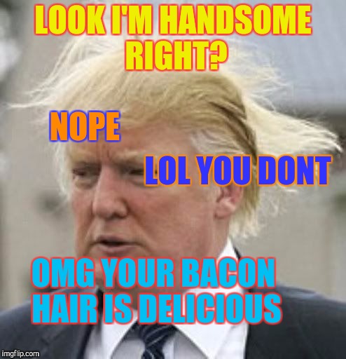 WHEN DONALD TRUMP ASKS YOU | LOOK I'M HANDSOME RIGHT? NOPE; LOL YOU DONT; OMG YOUR BACON HAIR IS DELICIOUS | image tagged in donald trump,handsome | made w/ Imgflip meme maker
