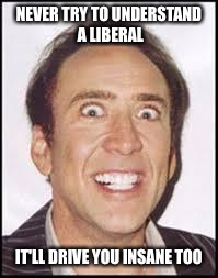 Crazy Nick Cage | NEVER TRY TO UNDERSTAND A LIBERAL; IT'LL DRIVE YOU INSANE TOO | image tagged in crazy nick cage | made w/ Imgflip meme maker