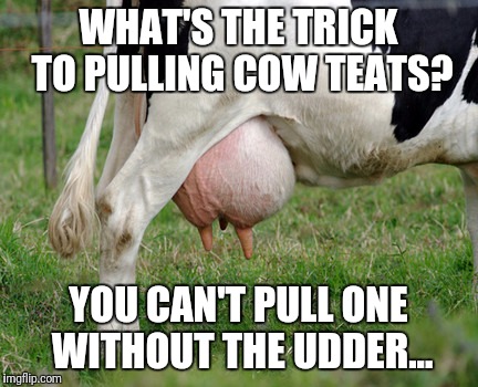 YOU CAN'T PULL ONE WITHOUT THE UDDER... image tagged in teat,teats,mil...