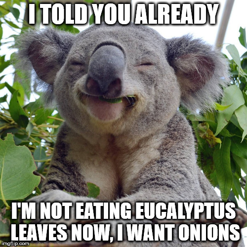 I TOLD YOU ALREADY; I'M NOT EATING EUCALYPTUS LEAVES NOW, I WANT ONIONS | made w/ Imgflip meme maker