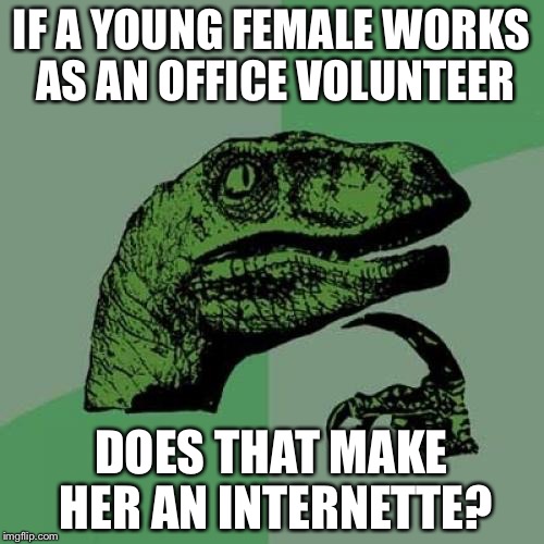 Philosoraptor | IF A YOUNG FEMALE WORKS AS AN OFFICE VOLUNTEER; DOES THAT MAKE HER AN INTERNETTE? | image tagged in memes,philosoraptor | made w/ Imgflip meme maker