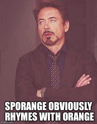 the face you make | SPORANGE OBVIOUSLY RHYMES WITH ORANGE | image tagged in the face you make | made w/ Imgflip meme maker