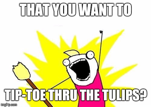X All The Y Meme | THAT YOU WANT TO TIP-TOE THRU THE TULIPS? | image tagged in memes,x all the y | made w/ Imgflip meme maker