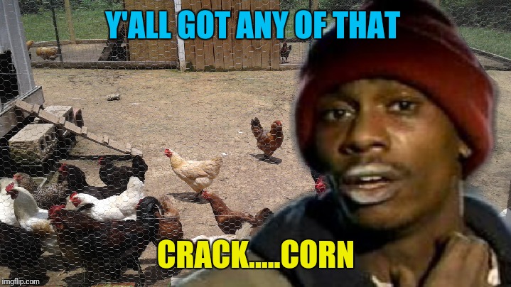Chickens are like crackheads | Y'ALL GOT ANY OF THAT; CRACK.....CORN | image tagged in dave chappelle,crackhead,chickens | made w/ Imgflip meme maker