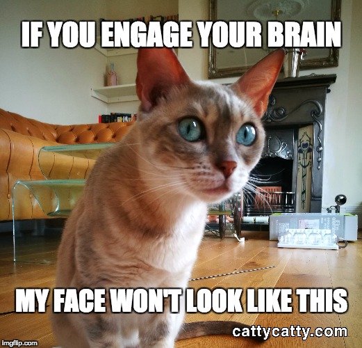 You do NOT want to be on the receiving end of one of Catty Catty's famous Death Stares... | IF YOU ENGAGE YOUR BRAIN; MY FACE WON'T LOOK LIKE THIS | image tagged in angry cat meme,evil cat meme,angry cat,funny cat memes,funny cat pictures | made w/ Imgflip meme maker