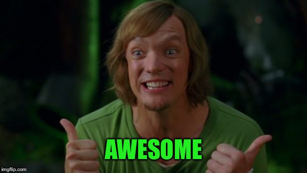 Shaggy 3 | AWESOME | image tagged in shaggy 3 | made w/ Imgflip meme maker