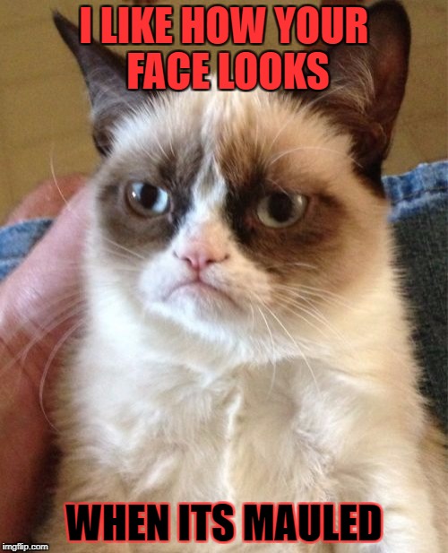 Grumpy Cat Meme | I LIKE HOW YOUR FACE LOOKS; WHEN ITS MAULED | image tagged in memes,grumpy cat | made w/ Imgflip meme maker