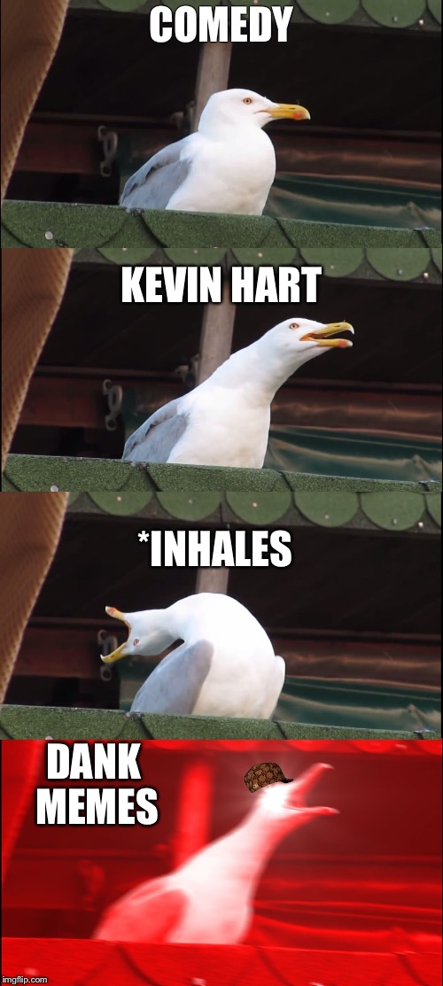 Inhaling Seagull | COMEDY; KEVIN HART; *INHALES; DANK MEMES | image tagged in inhaling seagull,scumbag | made w/ Imgflip meme maker