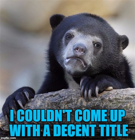 Confession Bear Meme | I COULDN'T COME UP WITH A DECENT TITLE | image tagged in memes,confession bear | made w/ Imgflip meme maker