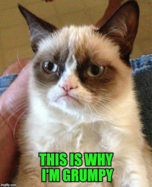 Grumpy Cat Meme | THIS IS WHY I'M GRUMPY | image tagged in memes,grumpy cat | made w/ Imgflip meme maker