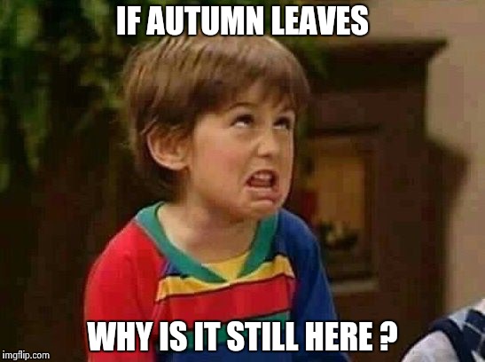 Walking in on the middle of a conversation | IF AUTUMN LEAVES; WHY IS IT STILL HERE ? | image tagged in why do you not mature,kids these days,misunderstanding | made w/ Imgflip meme maker