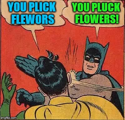 Batman Slapping Robin Meme | YOU PLICK FLEWORS YOU PLUCK FLOWERS! | image tagged in memes,batman slapping robin | made w/ Imgflip meme maker