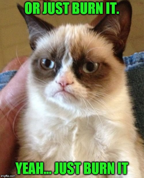 Grumpy Cat Meme | OR JUST BURN IT. YEAH... JUST BURN IT | image tagged in memes,grumpy cat | made w/ Imgflip meme maker