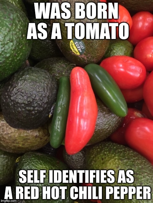 Confused Tomato | WAS BORN AS A TOMATO; SELF IDENTIFIES AS A RED HOT CHILI PEPPER | image tagged in confused tomato,memes,funny,transgender,gender identity | made w/ Imgflip meme maker