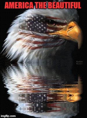 Am eagle | AMERICA THE BEAUTIFUL | image tagged in am eagle | made w/ Imgflip meme maker