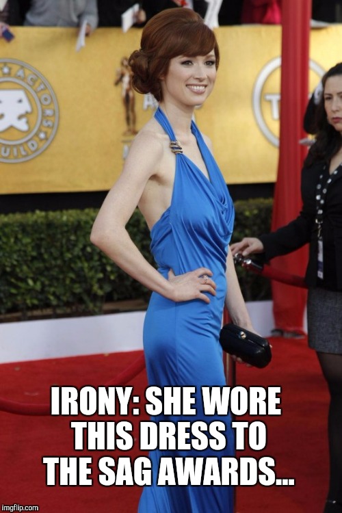 Now that's some irony!  | IRONY: SHE WORE THIS DRESS TO THE SAG AWARDS... | image tagged in sag awards,jbmemegeek,irony,ellie kemper,pretty woman | made w/ Imgflip meme maker