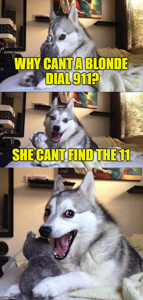 Bad Pun Dog Meme | WHY CANT A BLONDE DIAL 911? SHE CANT FIND THE 11 | image tagged in memes,bad pun dog | made w/ Imgflip meme maker